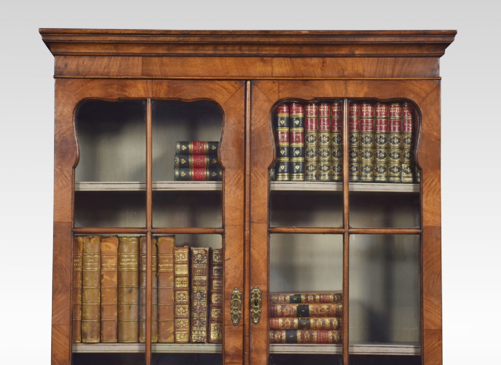 Walnut Narrow Two Door Bookcase View VII
