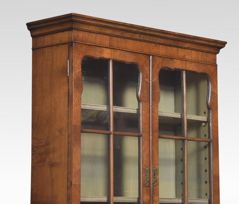 Walnut Narrow Two Door Bookcase View VIII