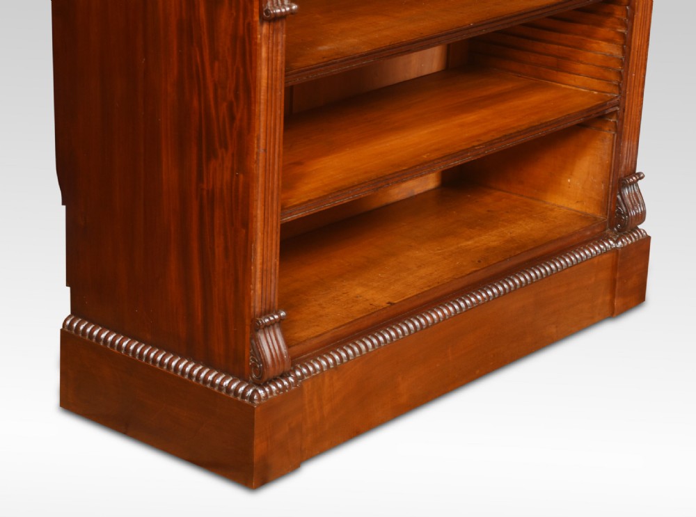 19th Century Mahogany Open Bookcase View VII