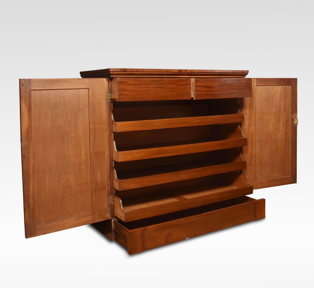 19th Century Mahogany Cupboard View VII