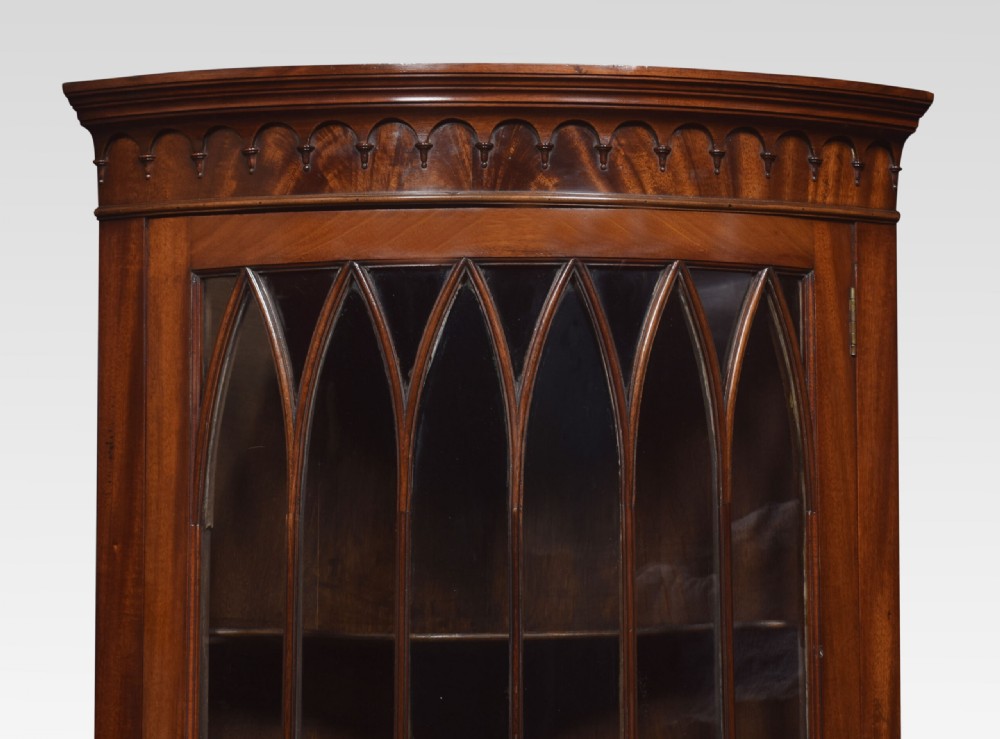 George III Style Mahogany Corner Cabinet View II