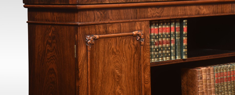 19th Century Rosewood Bookcase View VI