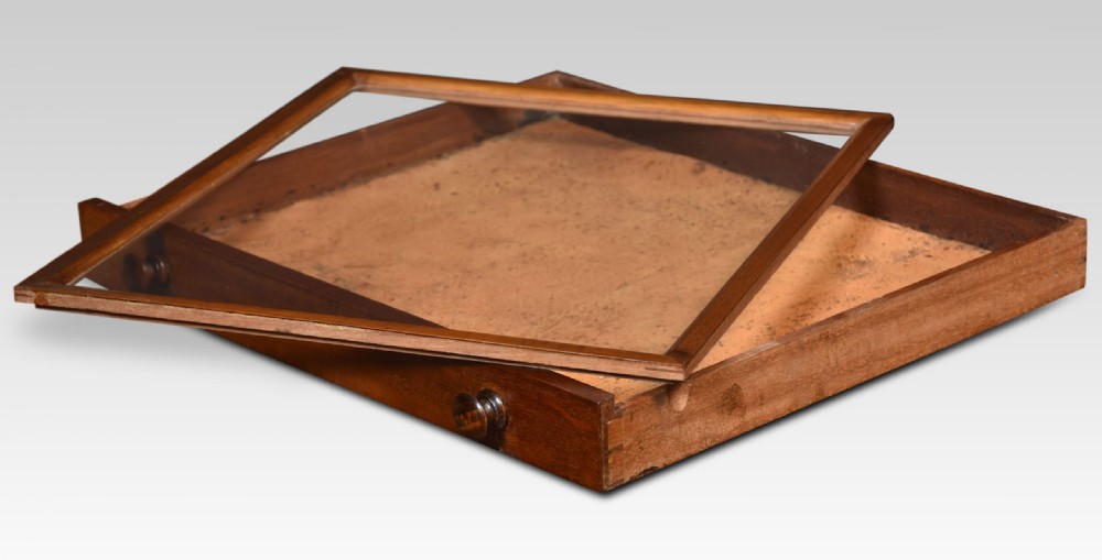 Mahogany collectors cabinet View III