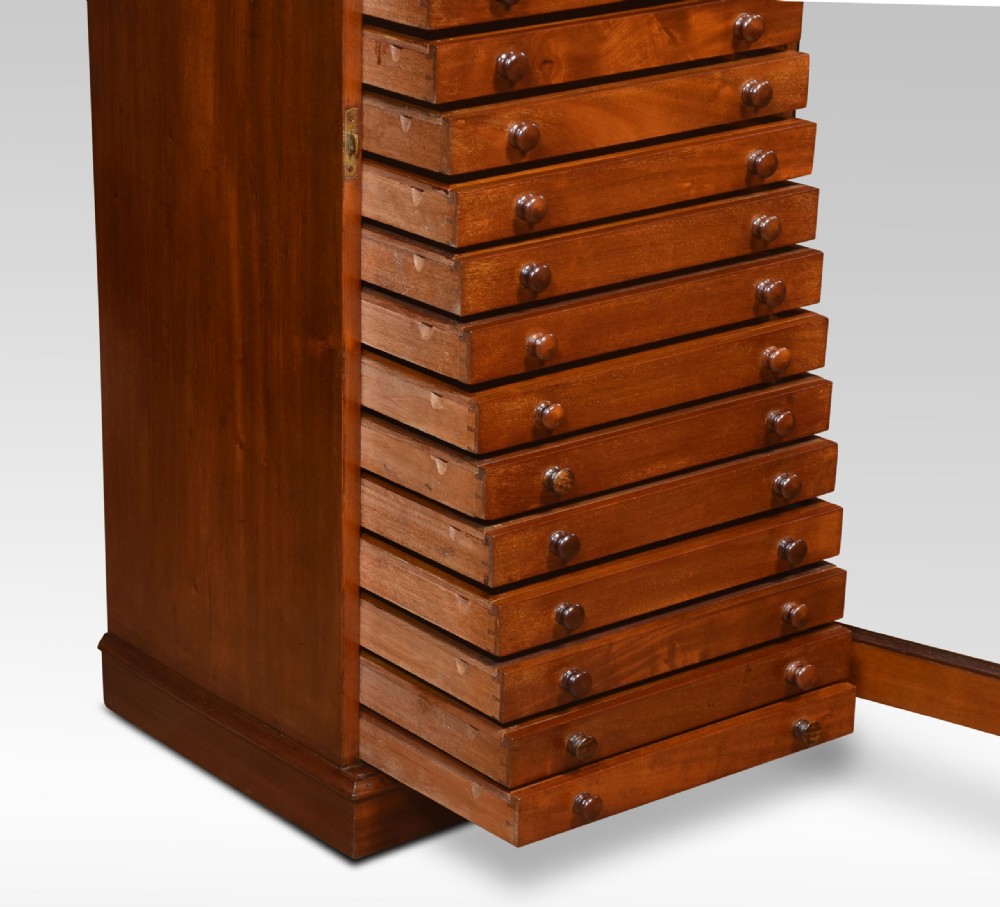 Mahogany collectors cabinet View V