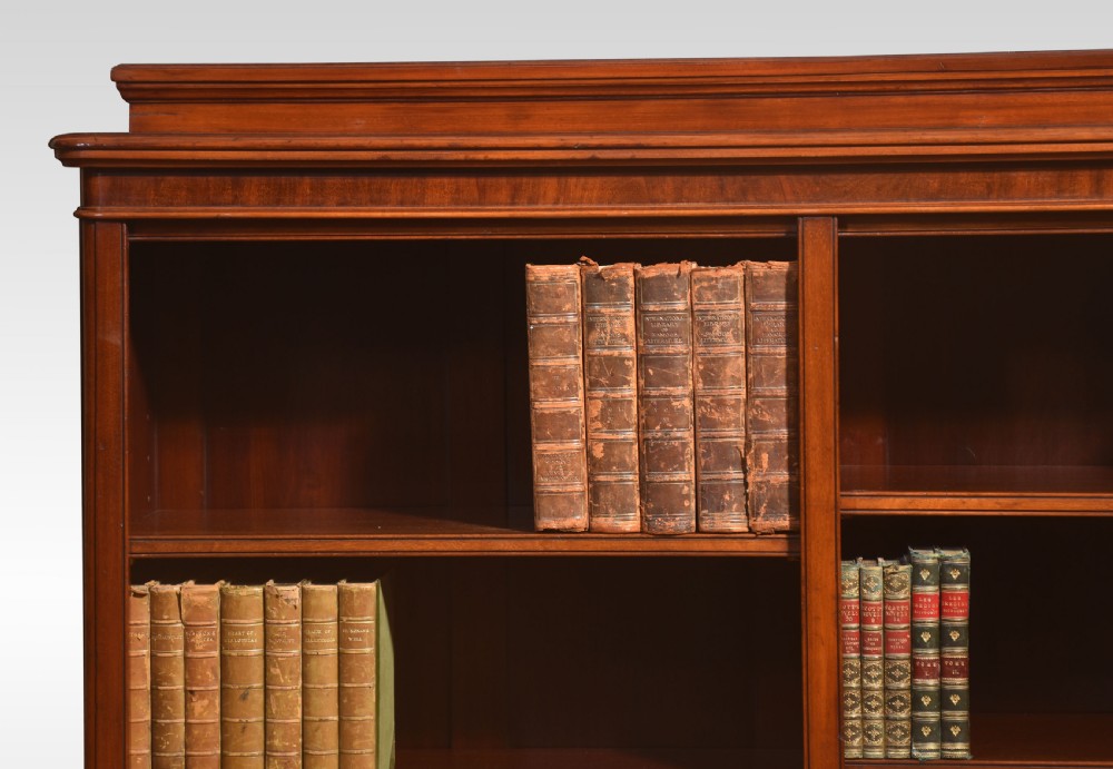 19th century mahogany open bookcase View III