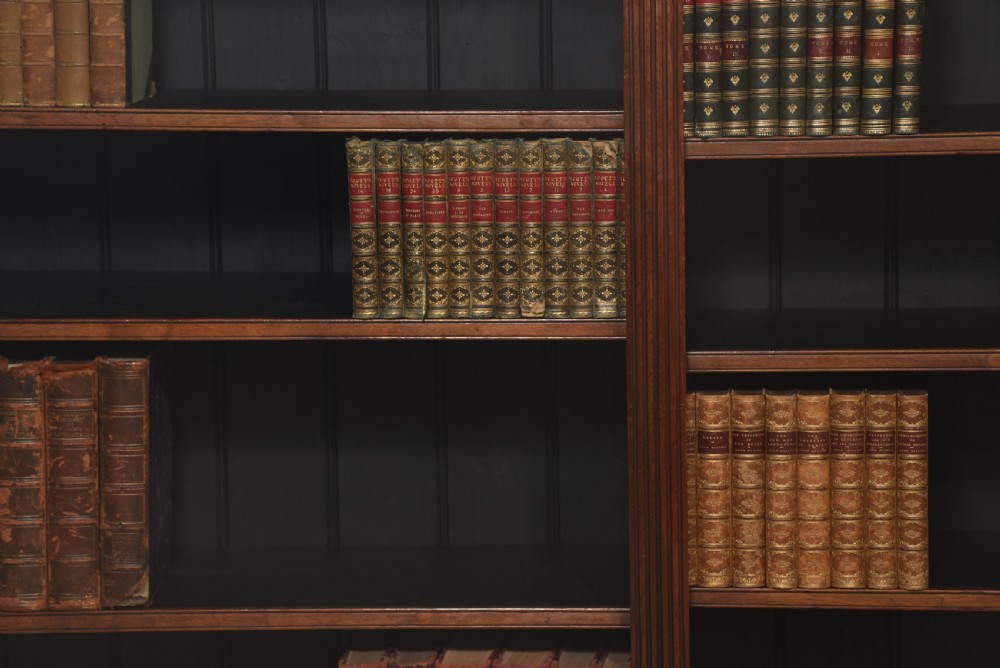 Walnut open bookcase View IV