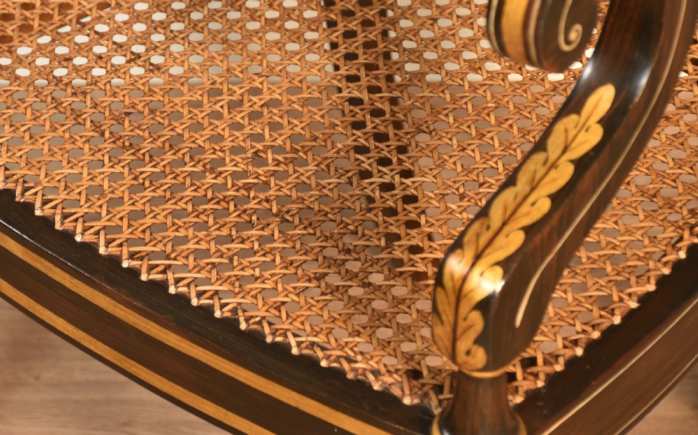 Pair of Rosewood painted Armchairs View XIV