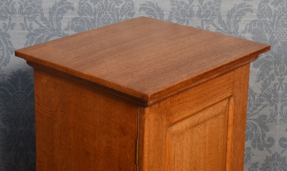 A tall, warm brown oak single-door filing cabinet featuring three recessed field panels and a central brass teardrop handle. View VIII