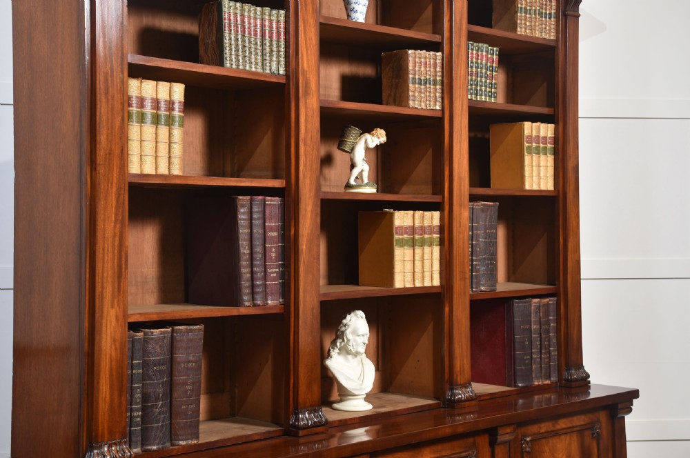 Mahogany library bookcase View X