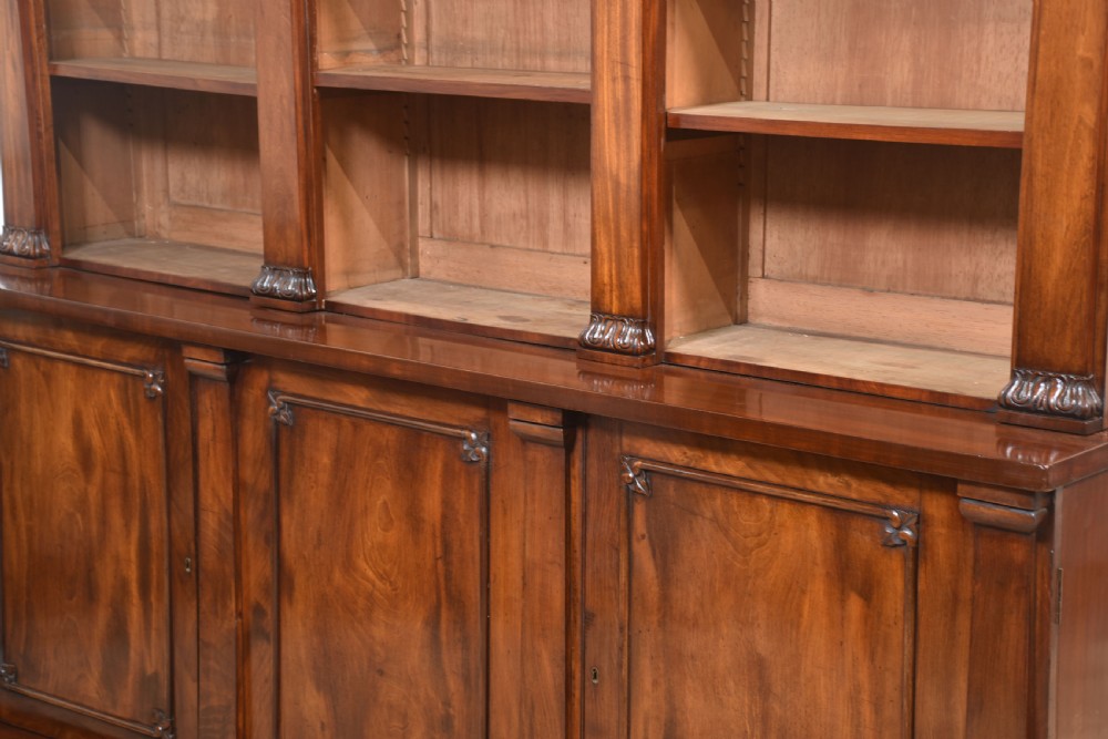 Mahogany library bookcase View XVI