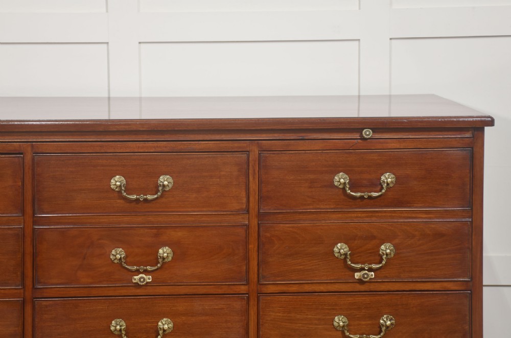 A Georgian style mahogany filing cabinet featuring a bank of multiple small drawers with brass swan-neck handles on a bracket foot base. View III