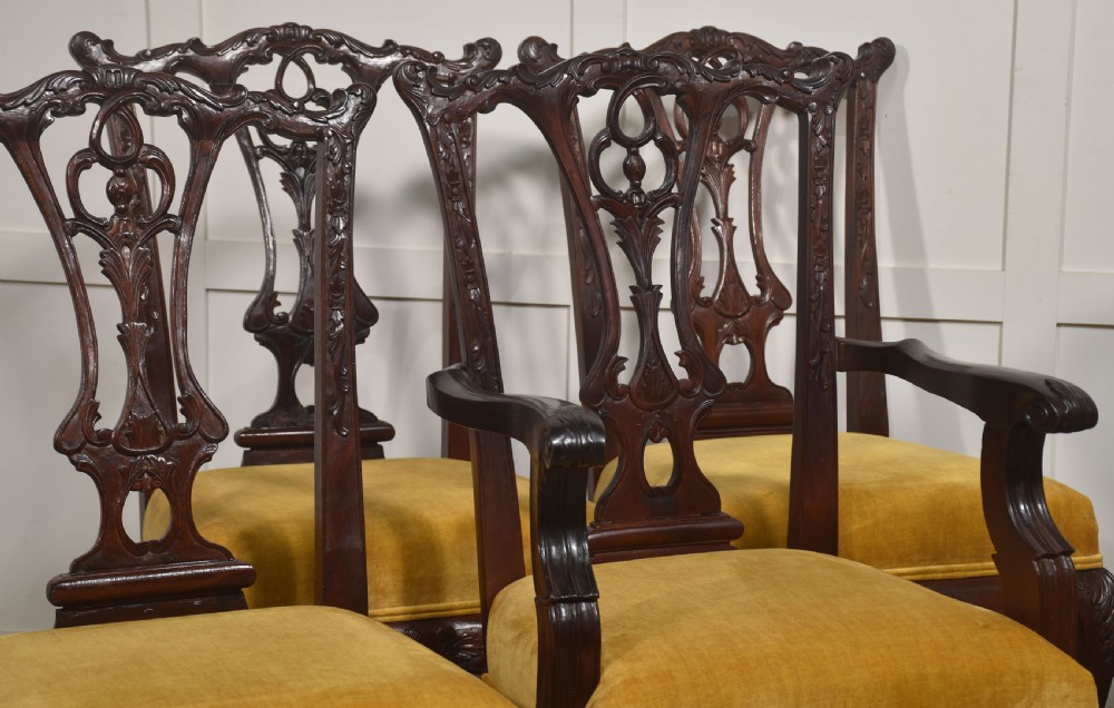 A set of eight dark mahogany dining chairs featuring elaborate pierced back splats, cabriole legs with ball and claw feet, and mustard yellow velvet upholstered seats. View III