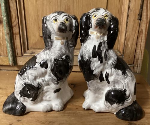 Pair Quirky Antique Staffordshire Dogs C1860