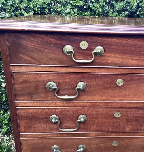 GEORGIAN MAHOGANY CHEST OF DRAWERS C1830 - ADDITIONAL PHOTO 2