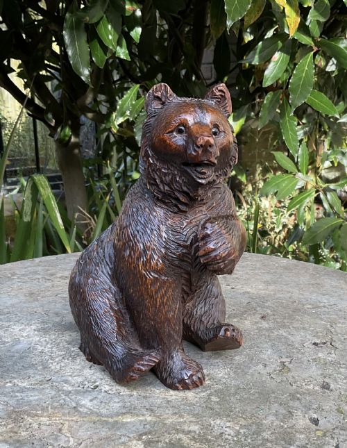 Black Forest Bear with Glass Eyes C1880