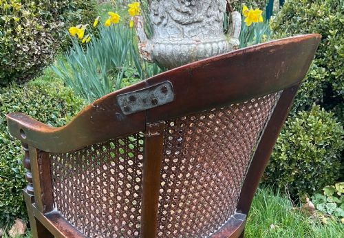 CHILDS GEORGIAN CANED BERGERE CHAIR C1830 - ADDITIONAL PHOTO 5