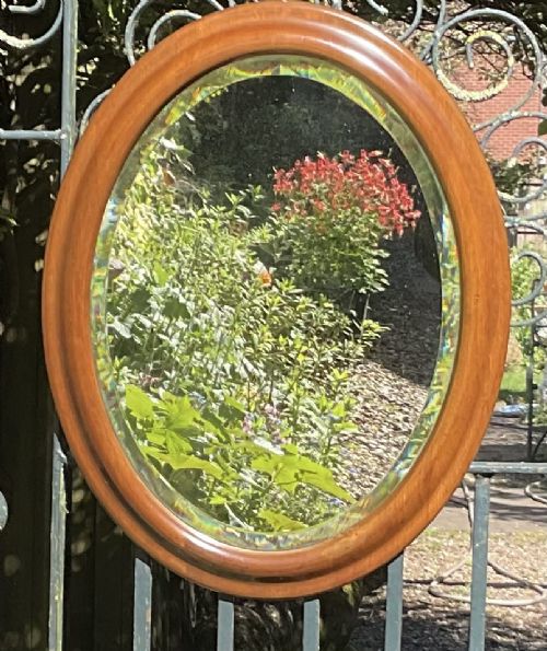 SCOTTISH OVAL MAHOGANY WALL MIRROR C1900 - ADDITIONAL PHOTO 3