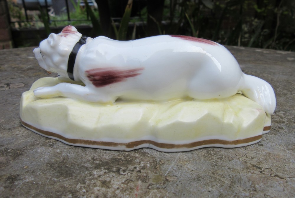 An antique Victorian white porcelain figurine of a reclining mastiff dog with reddish patches on a pale yellow gilded base. View II