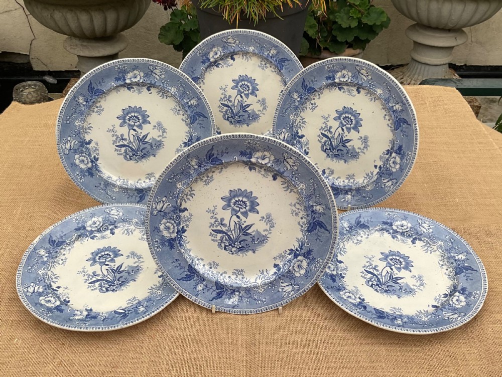A set of six Victorian blue and white transferware earthenware plates decorated with a botanical floral centre and matching border.