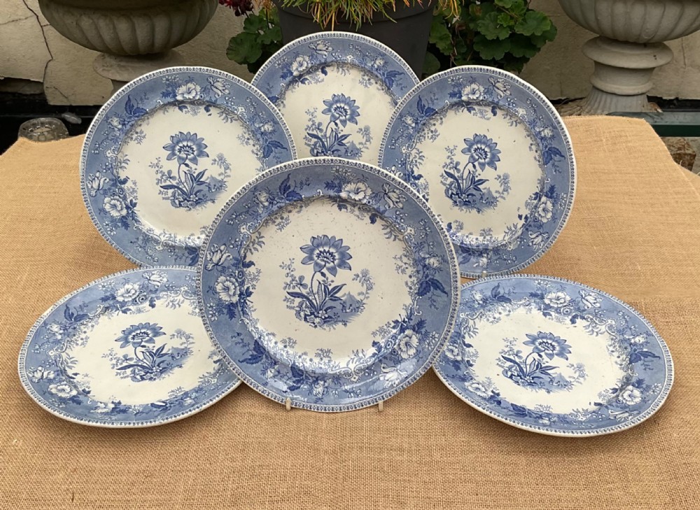 A set of six Victorian blue and white transferware earthenware plates decorated with a botanical floral centre and matching border. View V
