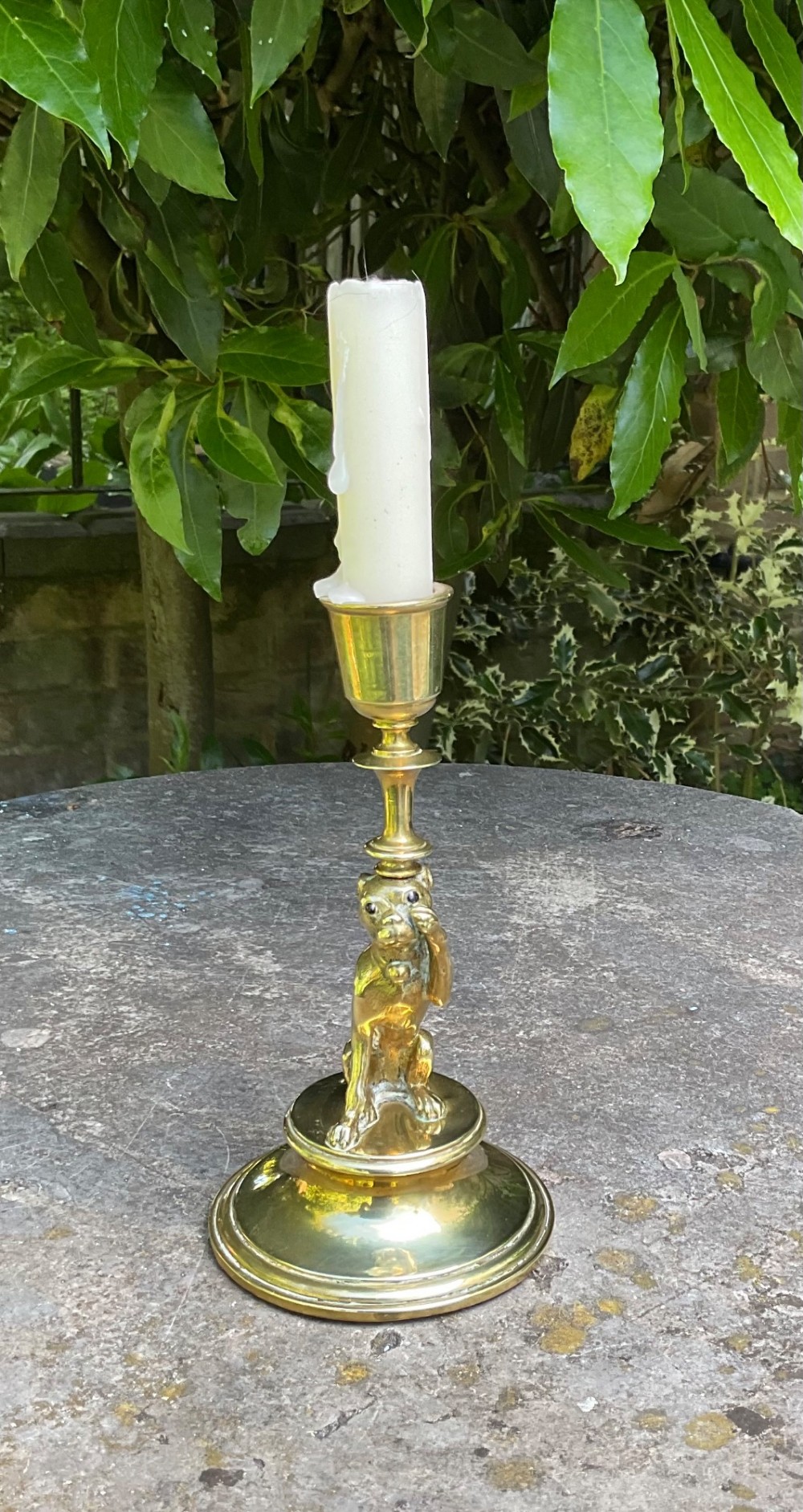 A Victorian cast brass candlestick featuring a sculpted sitting pug dog forming the lower stem above a round stepped base.