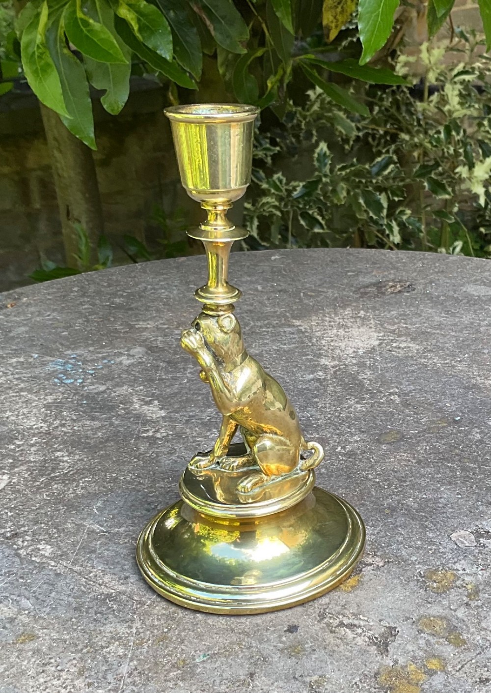 A Victorian cast brass candlestick featuring a sculpted sitting pug dog forming the lower stem above a round stepped base. View V