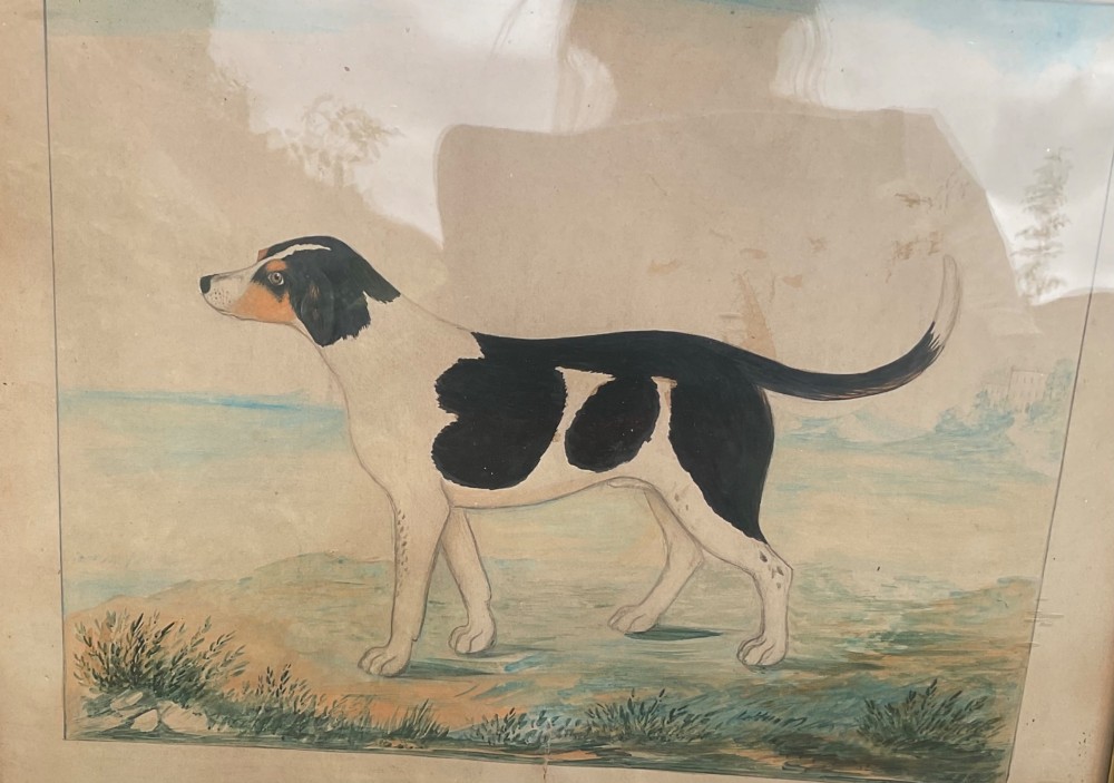 A Victorian naive watercolour painting depicting a black and white hound standing in profile, presented within a wide maple wood frame featuring a gilt inner slip. View II