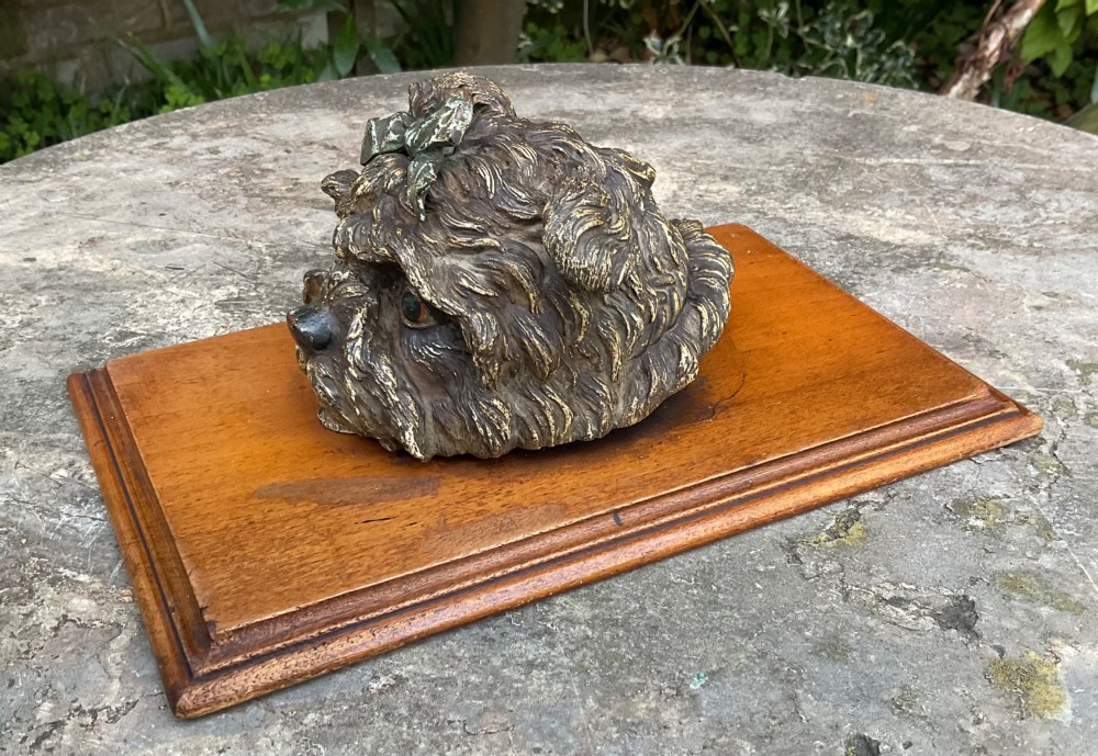 An antique Austrian cold-painted bronze head of a Yorkshire Terrier with a green bow, mounted on a rectangular timber base as a spring paper clip. View III