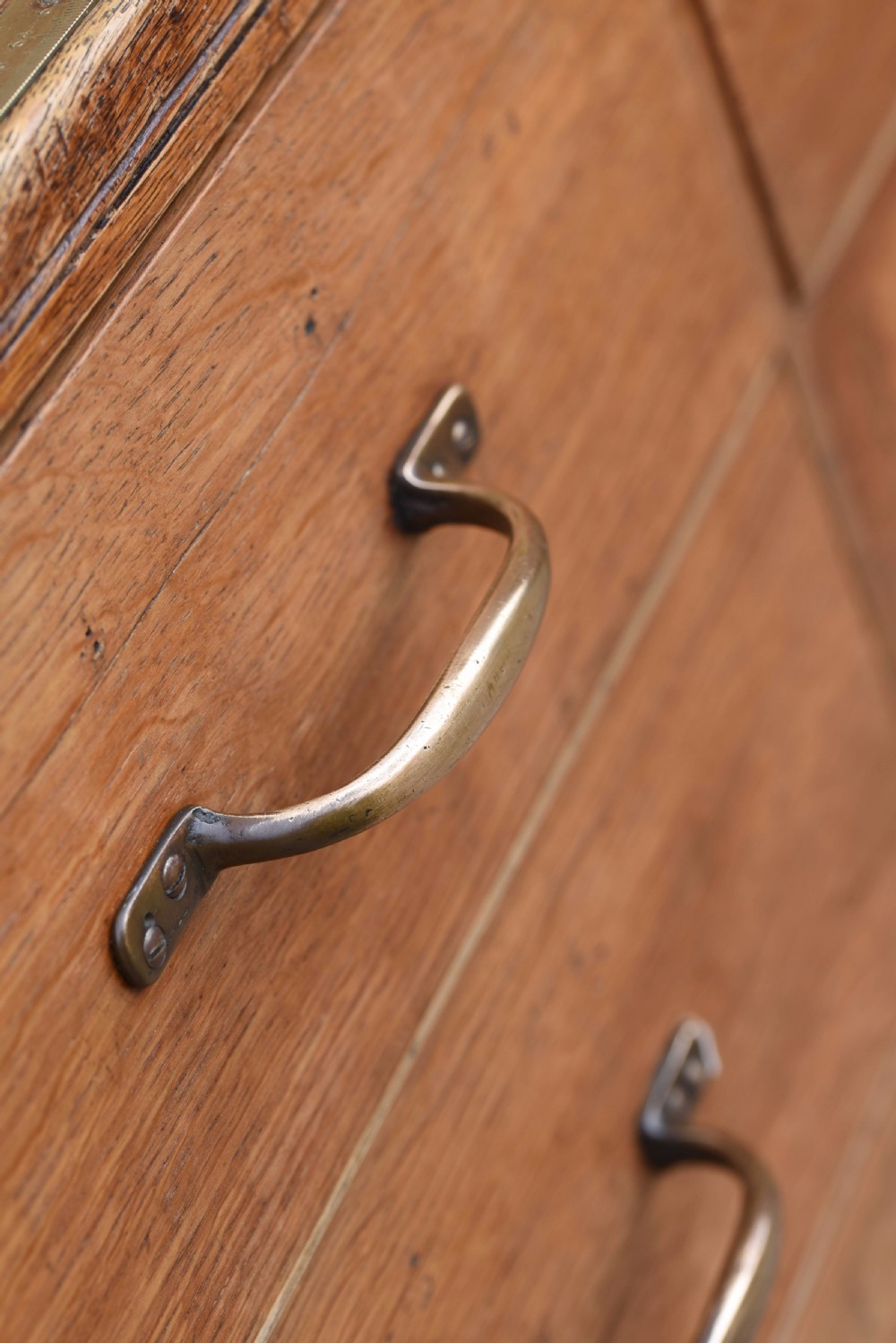 Oak haberdashery shop counter by J LE VINE London View XIII