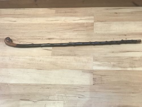 Irish Blackthorn Gentleman’s Walking Stick Sword Stick Victorian