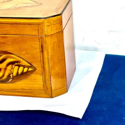 TEA CADDIE SATINWOOD WITH SHELL INLAYS GEORGIAN - ADDITIONAL PHOTO 3