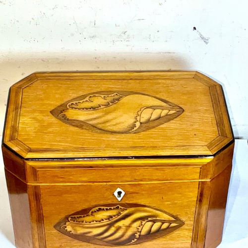 TEA CADDIE SATINWOOD WITH SHELL INLAYS GEORGIAN - ADDITIONAL PHOTO 4