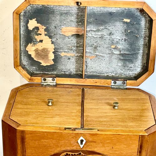 TEA CADDIE SATINWOOD WITH SHELL INLAYS GEORGIAN - ADDITIONAL PHOTO 5