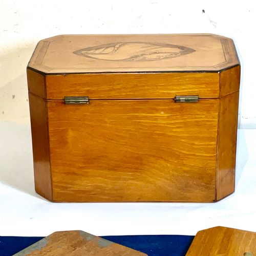 TEA CADDIE SATINWOOD WITH SHELL INLAYS GEORGIAN - ADDITIONAL PHOTO 10