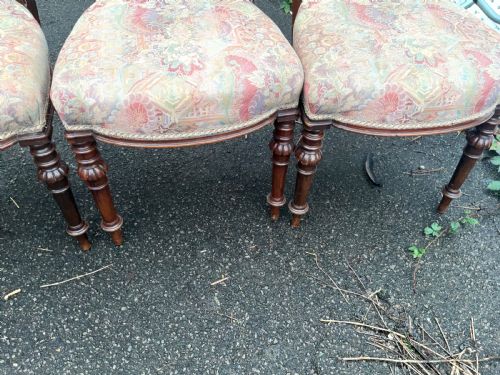 DINING CHAIRS WALNUT SET OF 4 - ADDITIONAL PHOTO 2
