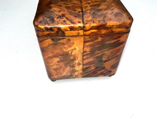 TORTOISE SHELL TEA CADDY - ADDITIONAL PHOTO 1