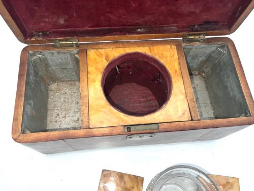 TORTOISE SHELL TEA CADDY - ADDITIONAL PHOTO 9
