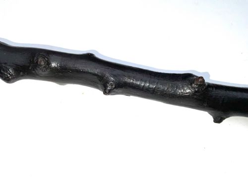 IRISH BLACKTHORN WALKINGSWORD STICK - ADDITIONAL PHOTO 10