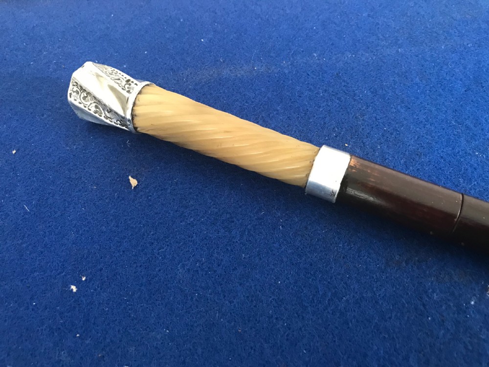 Late Victorian Gentleman’s walking stick sword stick  View II
