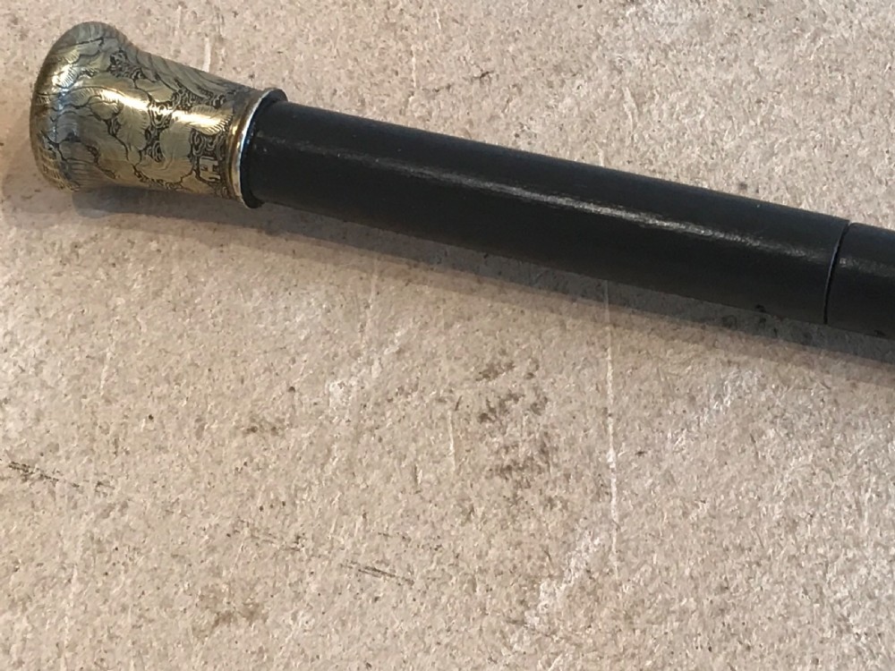Gentleman’s walking stick sword stick  View VIII