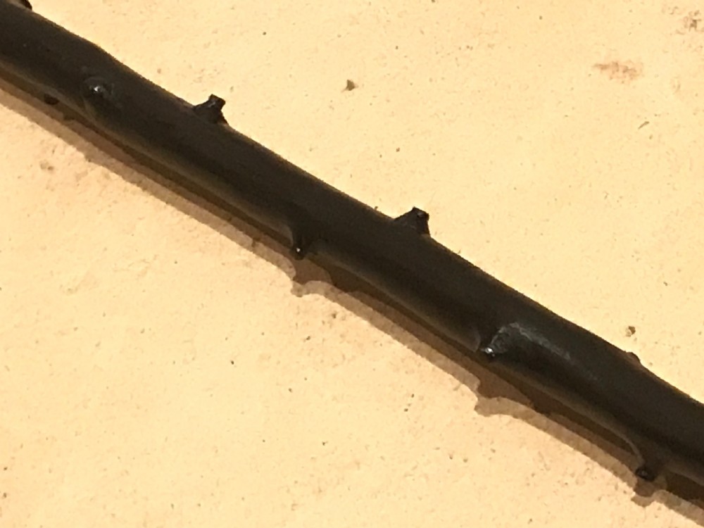 Irish blackthorn walking stick sword stick  View IV