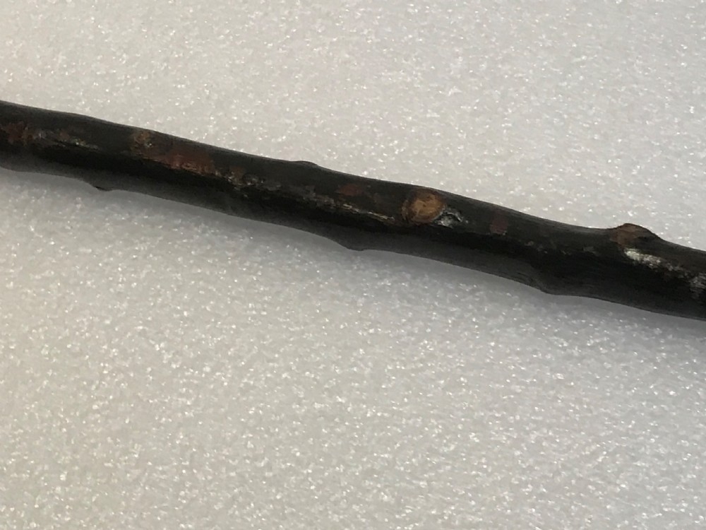 Gentleman’s walking stick sword stick Irish Blackthorn View V