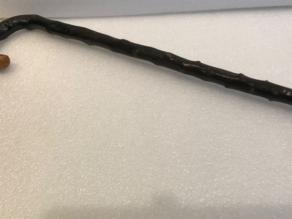 Gentleman’s walking stick sword stick Irish Blackthorn View VIII