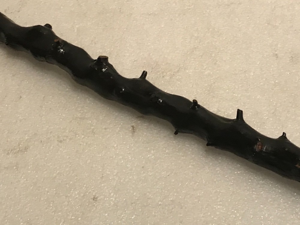 Irish Blackthorn walking stick sword stick  View IV