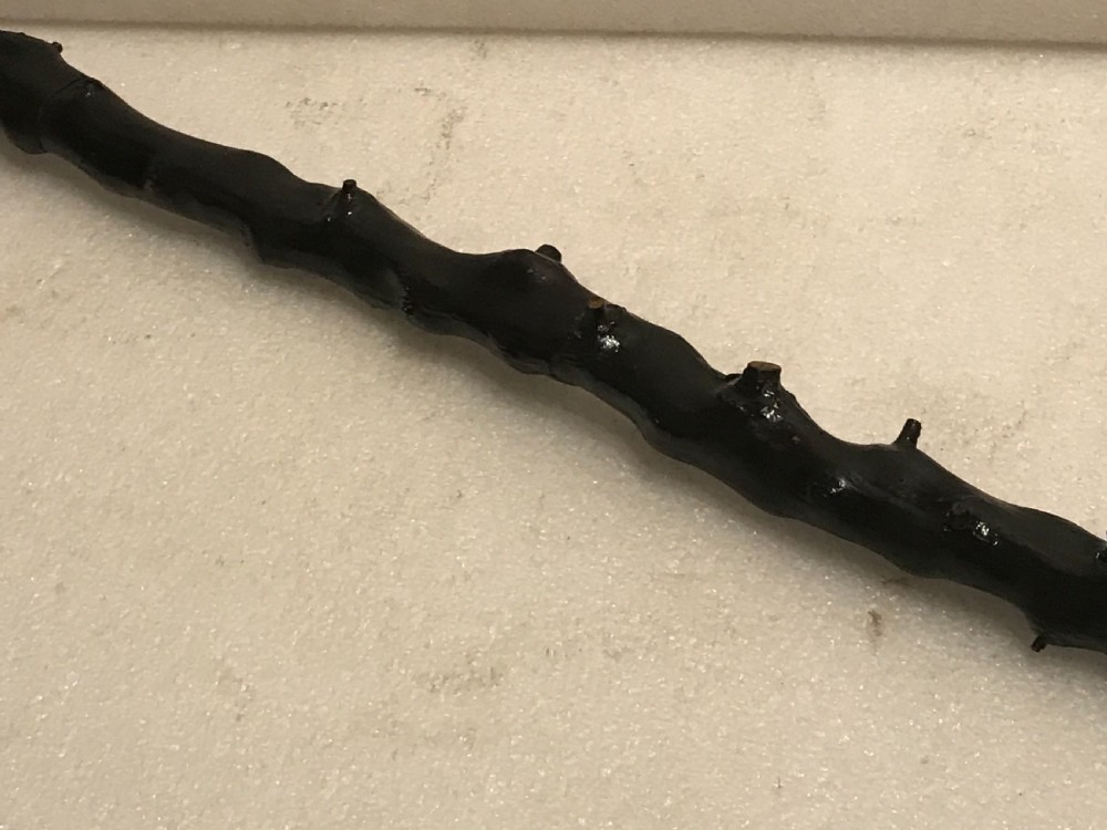Irish Blackthorn walking stick sword stick  View V