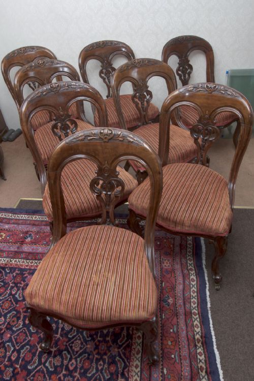 a very pretty set of eight victorian dining chairs of the finest quality - CATEGORY: ANTIQUE CHAIRS - DATED 19TH CENTURY