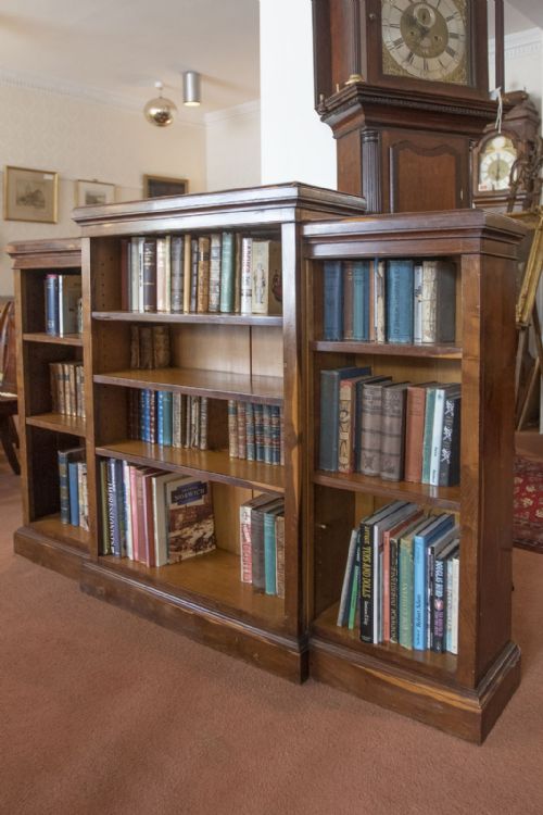 19TH CENTURY LABURNUM WOOD BREAKFRONT BOOKCASE - ADDITIONAL PHOTO 1