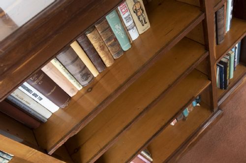 19TH CENTURY LABURNUM WOOD BREAKFRONT BOOKCASE - ADDITIONAL PHOTO 3