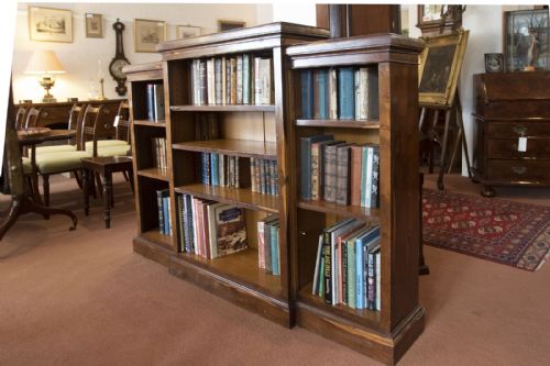 19TH CENTURY LABURNUM WOOD BREAKFRONT BOOKCASE - ADDITIONAL PHOTO 7