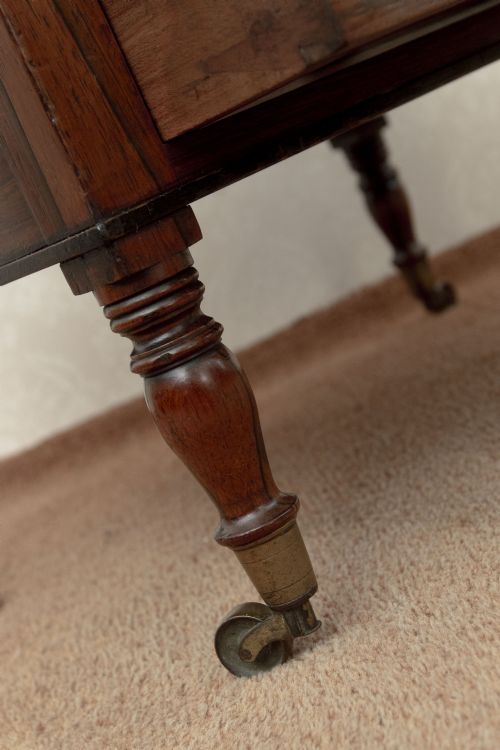 REGENCY PERIOD ROSEWOOD CANTERBURY - ADDITIONAL PHOTO 5